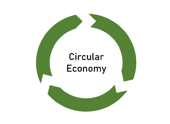 How the best  Global Insurance Circular Economy for better life