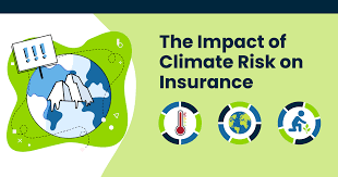   How to the best Global Insurance to Meet Climate Risk