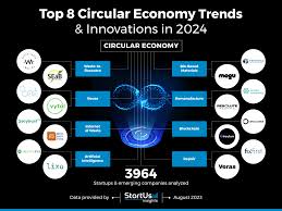 How to best Global Insurance and the Circular Economy