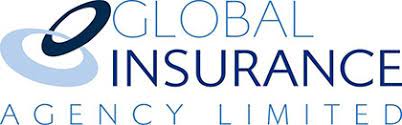 How to you understand by the world insurance