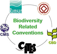 How the best global insurance in Biodiversity for better life